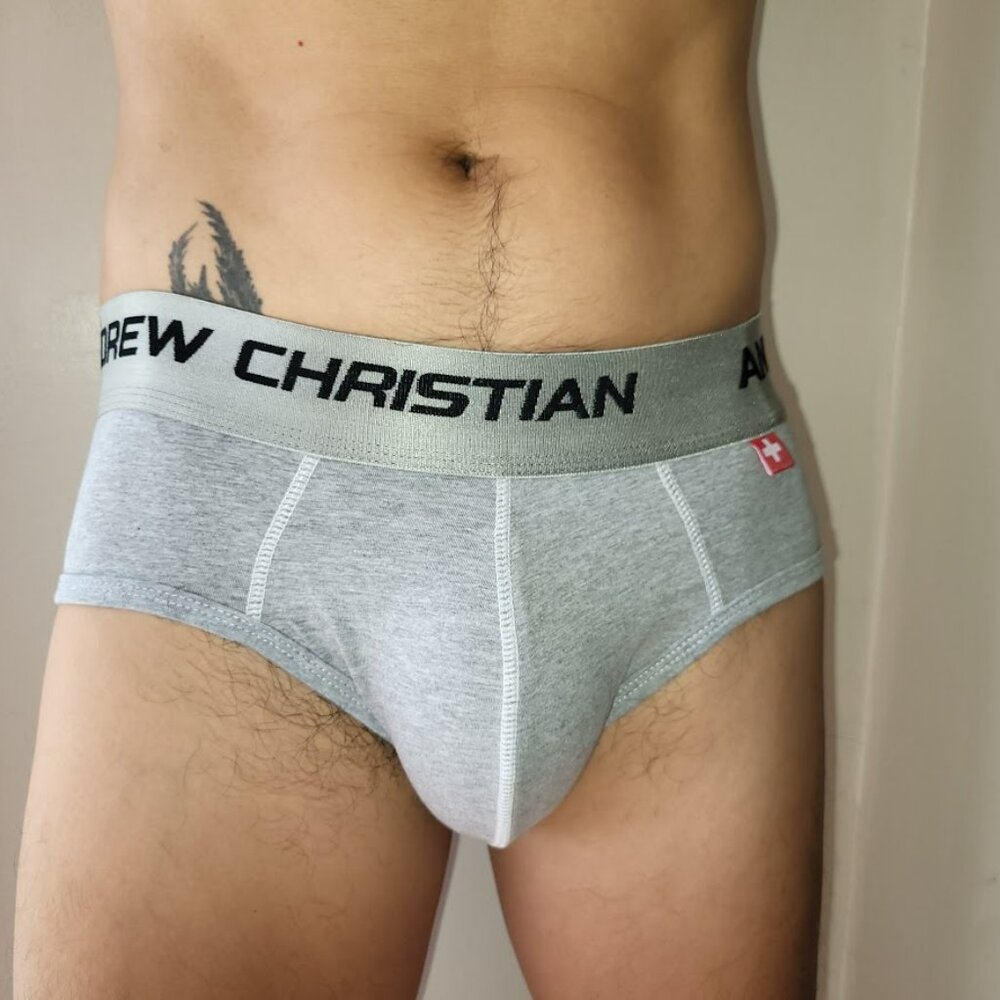 Andrew Christian Vintage Briefs Medium Gray LIKE NEW